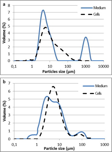 Figure 5. Castor oil droplets and cell size distribution in emulsions obtained in Yarrowia lipolytica W29 (a) and MTLY40-2p (b) grown in Erlenmeyer flask.