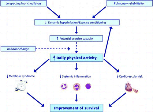 Figure 1. The crucial role of daily activity in COPD.
