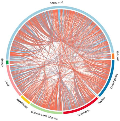 Figure 6 Chord diagram of differential serum metabolites. Classification of the metabolites detected into major functional classes.