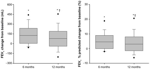 Figure 2 Change from baseline in FEV1 (mL and % predicted) 6 and 12 months after InterVapor treatment.Notes: *P < 0.05 vs baseline; †P < 0.05 12 months vs 6 months.Abbreviation: FEV1, forced expiratory volume in 1 second.