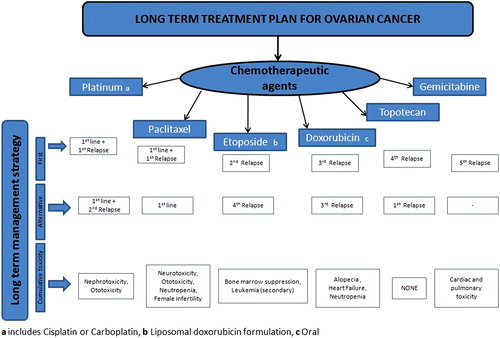 Figure 1. Long-term treatment plan for ovarian cancer.