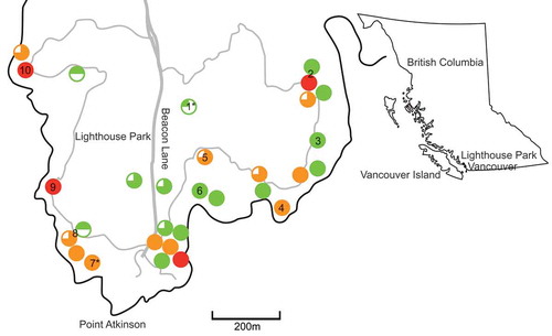 Fig. 1 (Colour online) Arbutus sites identified in the survey of Lighthouse Park, prevalence of cankers (disease class), and human disturbance. Pie charts represent the prevalence of cankers (0–25%, 26–50%, 51–75% and 76–100%). Colours represent the level of human disturbance (green = none, yellow = some and red = common). Each chart corresponds to one site. Numbers denote sites picked for canker/vegetation sampling. Site 2 refers to two adjacent sites combined for sampling. Site 8 refers to two adjacent sites combined for sampling. *Indicates the two sites selected for broader sampling.