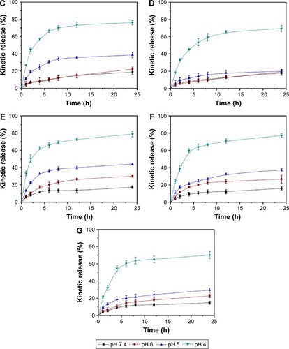 Figure 4 In vitro release profiles of DOX-loaded Z1/CMCS1 NPs (A), Z2/CMCS1-TA/Cu12+ NPs (B), Z2/CMCS1-TA/Cu22+ NPs (C), Z2/CMCS1-TA/Cu32+ NPs (D), Z1/CMCS1-TA/Cu12+ NPs (E), Z1/CMCS1-TA/Cu22+ NPs (F) and Z1/CMCS1-TA/Cu32+ NPs (G) in 0.01 M buffer under different pH conditions.Notes: The Z2/CMCS1-TA/metal NPs were prepared at a zein:CMCS ratio of 2:1 w/w with the final metal ion concentration of 0.24 mM (Cu12+ or Ca2+), 0.48 mM (Cu22+) and 0.72 mM (Cu32+). The Z1/CMCS1-TA/metal NPs were prepared at a zein:CMCS ratio of 1:1 w/w with the final metal ion concentration of 0.24 mM (Cu12+ or Ca2+), 0.48 mM (Cu22+) and 0.72 mM (Cu32+).Abbreviations: CMCS, carboxymethyl chitosan; DOX, doxorubicin hydrochloride; NPs, nanoparticles; TA, tannic acid; Z1, zein1; Z2, zein2.