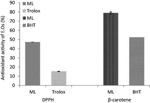 Figure 1. Free radical scavenging and antioxidant activities (%) of M. longifolia E.Os.