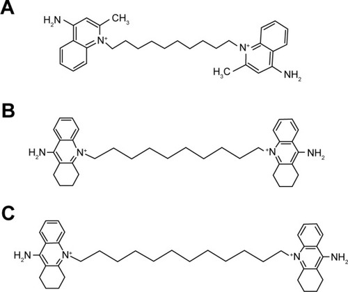Figure 1 Cationic bolaamphiphile chemical structures.Notes: (A) Dequalinium: 1,1′-decane-1,10-diylbis(4-amino-2-methylquinolinium) decyl-2-methyl-4-quinolin-1-iumamine dichloride. C30H40Cl2N4 MW =527.58. (B) 10-cyclohexyl-DQA: 10-10′-(decane-1,10-diyl)bis(9-amino-1,2,3,4-tetrahydroacridinium) dichloride. C36H48N4CL2 MW =607.71. (C) 12-cyclohexyl-DQA: 10-10′-(dodecane-1,12-diyl) bis(9-amino-1,2,3,4-tetrahydroacridinium) dichloride. C38H52N4CL2 MW =635.76.