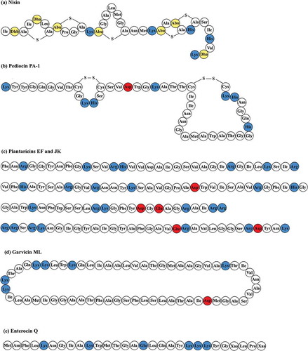 Figure 1. Amino acid sequences of representative bacteriocins from different classes: (a) nisin from class I [Citation72]; (b) pediocin PA-1 from class IIa; (c) plantaricins EF and JK from class IIb [Citation73]; (d) garvicin ML from class IIc [Citation74]; and (e) enterocin Q from class IId [Citation75]. The sequences of the peptides that form plantaricins EF and JK have been shown in the order of plantaricin E, plantaricin F, plantaricin J and plantaricin K. The red, blue and yellow amino acids represent acidic amino acids, basic amino acids and uncommon amino acids (Dhb, didehydroaminobutyric acid; Dha, didehydroalanine; Abu, 2-aminobutyric acid), respectively.