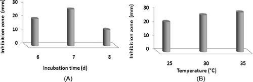 Figure 3. Effect of different incubation times (A) and temperatures (B) on the production of antimicrobial agent(s) by S. parvus strain (grown on verified medium).