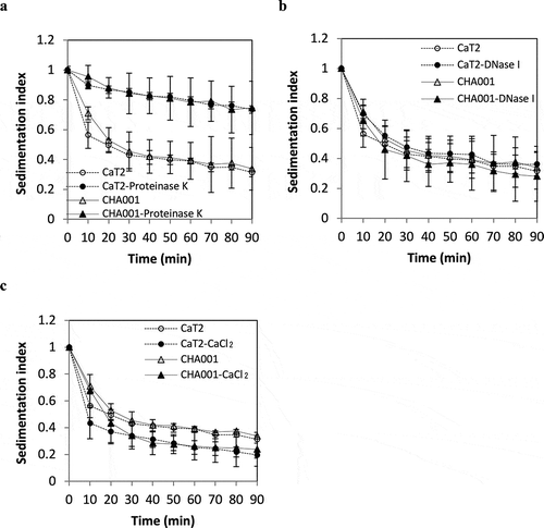 Figure 4. Effects of proteinase K treatment, DNase treatment and addition of CaCl2 on the sedimentation indices of CaT2 and CHA001.