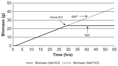 Figure 4 Essentiality of genes involved in fatty acid biosynthesis. Growth profile of E. coli after fabF and fabI gene knockout (KO). E. coli did not grow when fabI gene was knocked out whereas fabF gene knockout did not affect cell growth.