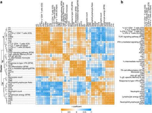 Figure 6. Correlation and cluster analysis of immune parameters. a. A multivariate nonparametric Spearman’s test was used to analyze the correlation among 44 immune parameters measured in the study. The heatmap shows the correlation coefficient with four clusters denoted. *p ≤ 0.05, **p ≤ 0.01. b. Immune parameters correlating with gE-specific Th1 T cell responses were isolated and shown.