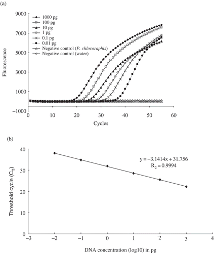 Fig. 1. Sensitivity of detection of purified DNA of Pseudomonas syringae pv. syringae 99_5 by TaqMan real-time PCR assay targeting the cyoA gene. a, Fluorescence kinetics and b, standard curve showing log of DNA dilutions and the corresponding cycle threshold (CT). The regression equation and coefficient of determination are indicated. Each dot represents data of triplicate TaqMan real-time PCR amplifications.