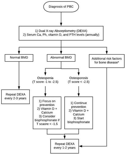 Figure 1 Management algorithm for bone disease in primary biliary cholangitis. *Additional risk factors include but are not limited to severe cholestasis, corticosteroid use, low BMI, postmenopausal women, early menopause, smoking or alcohol abuse.Abbreviations: PBC, primary biliary cholangitis, Ca, calcium, Ph, phosphorus, PTH, parathyroid hormone, BMD, bone mineral density.