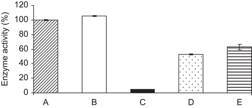 Figure 9.  Effect of BSA on HIV-1 RT activity in the absence and presence of 100 µM 3,4,5 tri-O-galloylquinic acid. The enzyme activity was performed as follows: (A) no addition; (B) BSA; (C) 100 µM 3,4,5 tri-O-galloylquinic acid; (D) HIV-1 RT + 3,4,5 tri-O-galloylquinic acid, then BSA; (E) BSA + 3,4,5 tri-O-galloylquinic acid, then HIV-1 RT. The data represent the mean (±SD) of duplicate samples.
