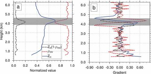 Figure 4. (a) Normalized values and (b) gradients of ZH and ρHV and the MLF around the ML on a QVP recorded at Guangzhou (0500 UTC 4 April 2019).