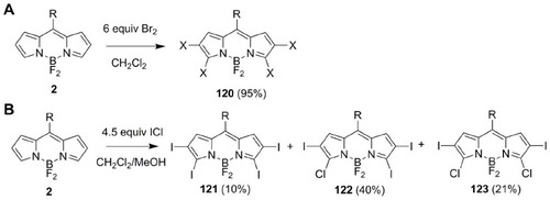 Figure 21 Synthesis of (A) tetrabromo and (B) tetrahalogenated BODIPYs 120–123.