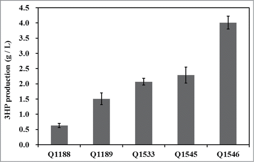 Figure 3. Production of 3HP by different recombinant strains. The strains were grown in minimal medium under shake flask condition in triplicate, and standard deviation was shown.