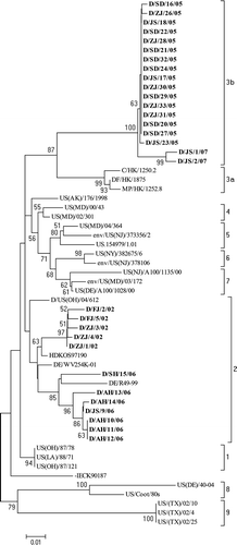 Figure 3.  Phylogenetic tree of NDV reference strains representing the more recently established class I genotypes 1 to 9 viruses, and all the 30 class I isolates from surveillance in domestic ducks in this study (set in bold), showing major genotypes and their relationships in this class. The tree is based on comparison of partial F gene sequence (between nt 47 and 420). Accession number and other background information of the reference strains are in Table 3.