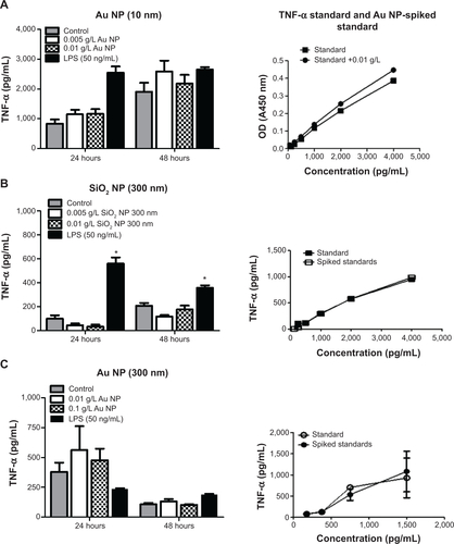 Figure S3 RAW 264.7 cells were exposed to NPs for variable times, supernatants harvested, and used for ELISAs.Notes: TNF-α levels are represented as pg/mL. Standards and standards spiked with NPs are shown on the right, and show no statistical significance between the unspiked standards. (A) Au NPs (10 nm), (B) SiO2 NPs (300 nm), and (C) Au NPs (300 nm) did not have an effect on TNF-α production. Graphs show average and SEM (N=6). *P<0.05 is considered statistically significant as determined by two-way ANOVA followed by Bonferroni post-test comparing treated cells to control.Abbreviations: NPs, nanoparticles; ELISA, enzyme-linked immunosorbent assay; TNF, tumor necrosis factor; SEM, standard error of the mean; ANOVA, analysis of variance; OD, optical density; LPS, lipopolysaccharide.