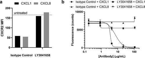 Figure 8. Neutralization of hCXCL1- or hCXCL8-induced CXCR2 internalization on primary human neutrophils or neutrophil migration by LY3041658 ex vivo. (a) 20 µg/mL LY3041658 was able to block hCXCL1 (28 nM) or hCXCL8 (8.8 nM) induced internalization of CXCR2. Data shown (n = 1) is cell surface CXCR2 measured using flow cytometry expressed as Mean Fluorescence Intensity (MFI). Chemokine doses reported were equipotent in inducing CXCR2 internalization (dose response data not shown). (b) LY3041658 dose dependently neutralizes neutrophil chemotaxis induced by either hCXCL1 (5.1 nM) or hCXCL8 (10 nM). Chemokine doses were selected to be equipotent in inducing chemotaxis as measured by fluorescence of the CellTracker Green dye. Fluorescence values (485 nm/535 nm ex/em) are plotted as the blank subtracted mean ± SEM of triplicate test wells. Curve fits are four parameter logistic fits made with GraphPad Prism 8.3