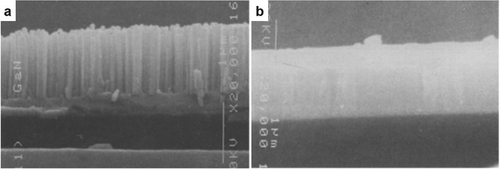 Figure 4. SEM images of (a) N-rich and (b) Ga-rich flux conditions, respectively. Figures reprinted with permission from Ref. [Citation116], Copyright © 2016, Elsevier.