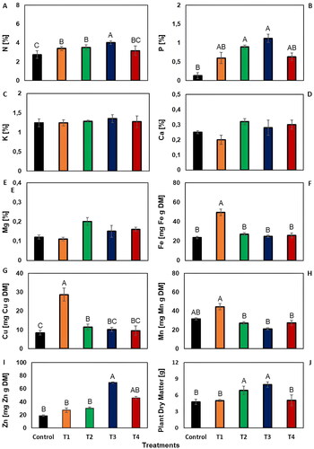 Figure 3. The effect of vermicompost treatments on macro and micro plant nutrient uptake and plant dry weight. Error bars represent the standard error of the mean for each treatment (n = 3). Average values (n = 3) marked with different letters in the same column are significantly different according to Duncan post-hoc tests at P < 0.05.