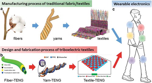 Figure 1. Carriers and routes for fabrication of wearable TENGs. (a) Manufacturing process of the traditional fabric/textile. (b) Design and fabrication process of the textile triboelectric nanogenerator (textile TENG). Reproduced with permission from [Citation40,Citation56,Citation67]. Reproduced under the terms of the Creative Commons Attribution 3.0 International License (CC BY-3.0) (https://creativecommons.org/licenses/by/3.0/) [Citation40]. Copyright 2018, The Authors, published by Royal Society of Chemistry. Copyright 2015 [Citation56], John Wiley and Sons; Copyright 2014 [Citation67], American Chemical Society. (c) Schematic illustration of textile TENGs that can be located at various positions to serve as self-powered wearable systems. Reproduced under the terms of the Creative Commons Attribution 4.0 International License (CC BY-4.0) (https://creativecommons.org/licenses/by/4.0/) [Citation86]. Copyright 2018, The Authors, published by Springer Nature.