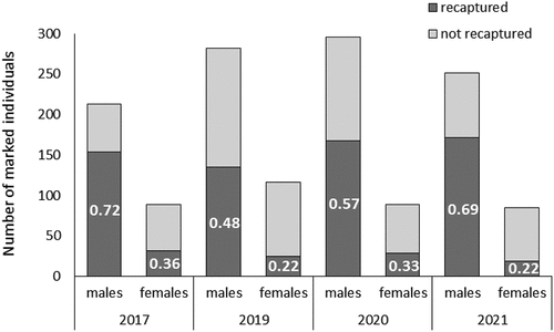 Figure 3. Sample sizes and proportion of recaptured individuals of both sexes, in four years.