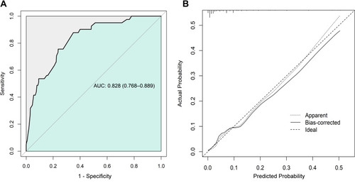 Figure 3 (A) Receiver operating characteristic curve analysis of the nomogram in the validation cohort. (B) Calibration plot of the nomogram in the validation cohort with bootstrapping.
