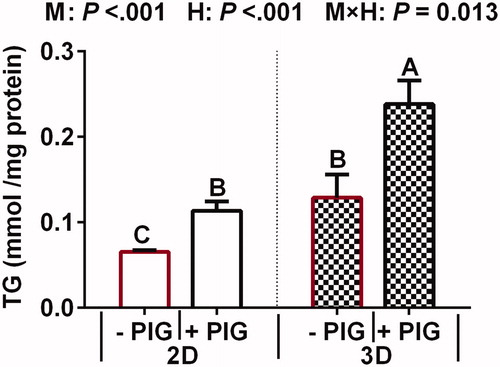 Figure 3. Effect of hormones and culture model on triglyceride (TG) content in 2D and 3D cultured bovine mammary epithelial cells (BMECs). Note: Values represent means ± standard error (n = 3 replicates per treatment). a,b,c,dMeans with different superscripts differ significantly from each other (p <.05). p Values for culture model, hormones, and model × hormones are based on ANOVA.M: culture model; H: hormone and PIG: prolactin + insulin + growth hormone.