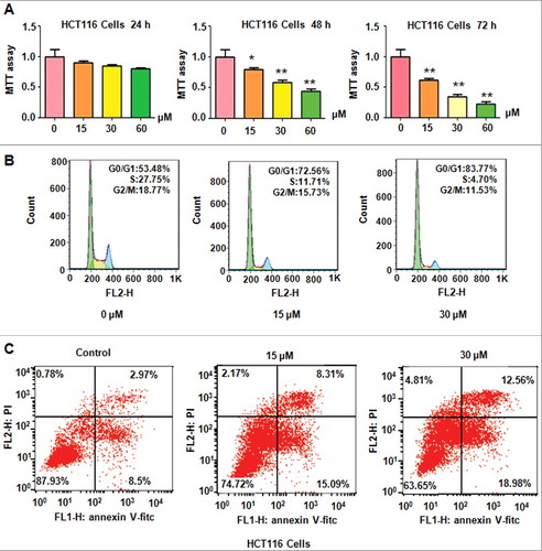 Figure 1. PF inhibited cell proliferation and induced apoptosis and cell cycle arrest.