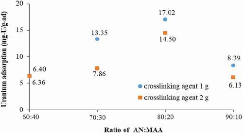 Figure 5. Effect of monomer ratio on uranium adsorption (H2O2 of 60 mL).