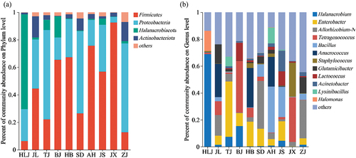 Figure 5. The relative abundance percentage of dominant bacteria at the (a) phylum and (b) genus level.