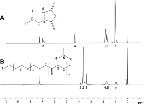 Figure 2 The representative 1H-NMR spectra of rac-Leu-NCA (A) and PEG-PRL copolymer (B) in CDCl3.Abbreviations: NCA, N-carboxy-anhydrides; NMR, nuclear magnetic resonance; rac-Leu, racemic-leucine; PEG, poly(ethylene glycol); PRL, poly(racemic-leucine).