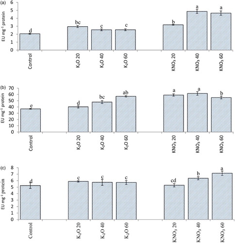 Figure 6. Superoxide dismutase (A), Catalase (B) and Ascorbate peroxidase (C) (EU mg−1 protein) activity in flag leaf of A. sativa L. cultivar KENT supplied with different salts of potassium (55 DAS).