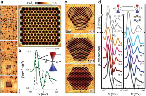 Figure 2. Experiments on artificial graphene. (a) Cu(111) surface state electrons are patterned by CO molecules ordered through STM lateral manipulation. (b) dI/dV spectroscopy reveals the appearance of a Dirac cone in the band structure in the patterned area. (c) The effect of strain can be mimicked by continuously modulating the lattice spacing of the artificial graphene. The effective pseudomagnetic field strengths are indicated in the panels. (d) dI/dV spectroscopy shows the formation of Landau levels due to the pseudomagnetic field generated by strain. Adapted by permission from Springer Nature: Ref. 11, Copyright (2012).