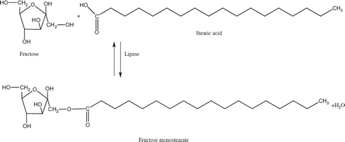 Figure 1. Lipase-catalyzed synthesis of fructose monostearate.