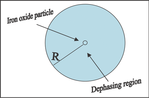 Figure 1. The figure represents measurable effective voxel of volume 1000R 3 containing superparamagnetic sphere of radius R in the center. Due to dephasing, it creates signal loss as MRI visible contrast in the ten fold boxed region (10R) or 1000R 3MRI visible volume of interest.