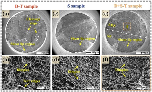 Figure 11. SEM images of the fracture for the different 990HT hybrid manufactured samples: (a)-(b) the D-T sample; (c)-(d) the S sample; (e)-(f) the D + S-T sample.