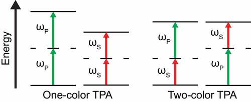 Figure 3. Jablonski diagram of the different TPA processes that could happen during a SRS measurement. While the concomitant absorption of two Stokes or pump photons is not affecting the SRS signal due to the modulation scheme, the simultaneous absorption of one pump and one Stokes (two-color TPA, TCTPA) gives a spurious signal in SRS measurements.