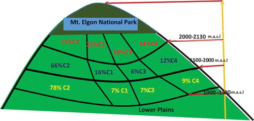 Figure 4. Authors’ illustration of the distribution of the SI land management clusters on the mountain landscape at three altitude ranges.