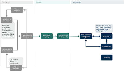 Figure 1 Top-level presentation of the Evidenced Care Pathway. Example from the Argentinian pathway.