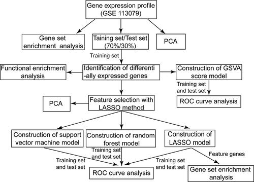 Figure 1 Flow chart of the present study. PCA, principal component analysis.