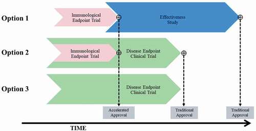 Figure 4. Overview of potential approaches to licensure of a maternal GBS6 vaccine. Effectiveness study refers to a clinical endpoint trial that is conducted under real-world settings after vaccine licensure. Disease endpoint clinical trial refers to an efficacy trial with GBS disease as the primary study endpoint. Accelerated approval is not applicable to Option 3.