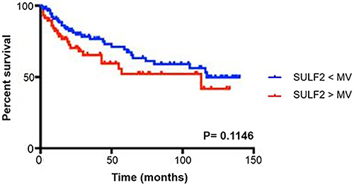 Figure 2 Overall survival in patients with alcohol-related cirrhosis according to serum levels of SULF2. Analysis of the overall survival of patients only without HCC (n = 164) on a long term period (150 months). Patients with a level of circulating SULF2 over the median (> 65.2 ng/mL) value have not a worse prognostic (P=0.1146). The Kaplan–Meier method was used to estimate overall survival for level of SULF2 and compared using the log rank test. Numbers at risk are shown under the x-axis.