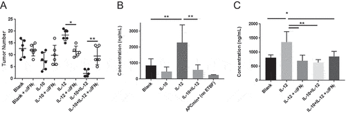 Figure 4. Therapeutic synergy requires IFNγ and is in part associated with the effects of cytokines on gut epithelial barrier integrity. (A) Effect of IFNγ neutralization on therapeutic outcome. Tumor-bearing APCmin/+ mice were treated as in Figure 2 in the absence or presence of anti-IFNγ monoclonal antibody administration and assessed for tumor burden. (B) Gut permeability. Experimental mice were administered FITC-labeled dextran via oral gavage at the end of treatment and sera were analyzed for fluorescence to assess leakage as described in Methods and Materials. (C) Effect of IFNγ neutralization on gut permeability. Mice were treated in the absence or presence of IFNγ-neutralizing antibody and sera were analyzed as above. Naïve APCmin/+ mice served as a control for baseline permeability. Error bars = SD, n = 5–6 per group for all studies. Significance: *, **, *** denote p < 0.05, 0.01, 0.001, respectively