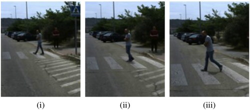 Figure 4. Crossing decision event. (i) The pedestrian takes two steps forward to gain visibility. (ii) The vehicle is approaching and the pedestrian slows down without stopping. (iii) The pedestrian makes the decision to cross.