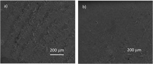 Figure 9. SEM image of the pristine (a) and 23 hr UV irradiated (b) PMMA surface.