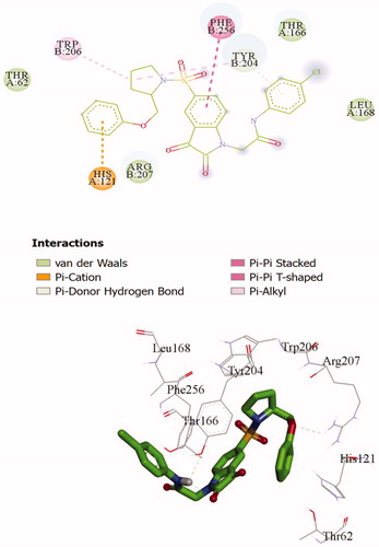 Figure 2. 2 D and 3 D representations of 20d interactions with caspase-3 active site.