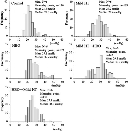 Figure 4. Histograms of the tumour tissue pO2 values immediately after mild HT, HBO, mild HT followed by HBO, or HBO followed by mild HT. Each group consisted of six mice. Each group shows individual tumours in which five parallel tracks were used to measure the different points. The total number of points used to create the histogram (n) is represented.