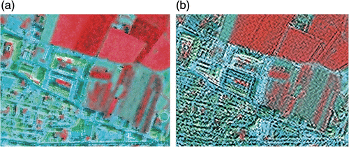 Figure 7. Fused multispectral SPOT 5 2005 image using IHS (a) and AWLP (b) in the band combination 3 (near infrared), 2 (red), and 1 (green).